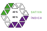 AUTOBIS IND SAT