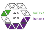 MCS IND SAT